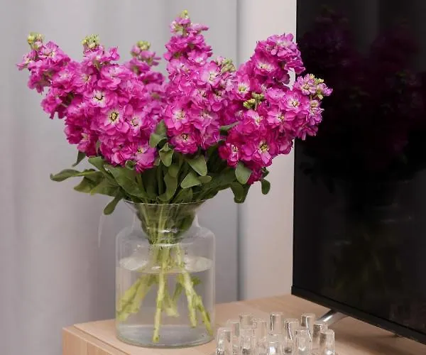 Apartment Stylish And Sweet In Near Park Lazienki By Renters Warsaw